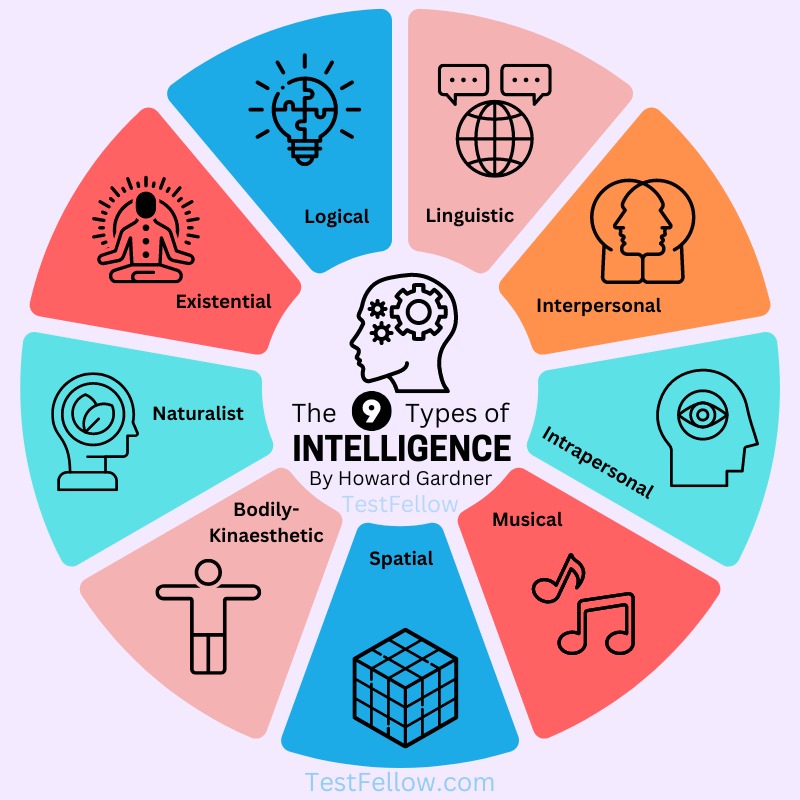 9 Types Of Intelligence